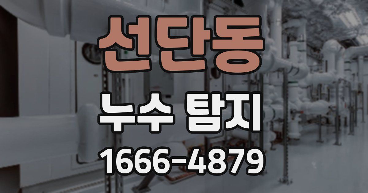 선단동 누수 탐지