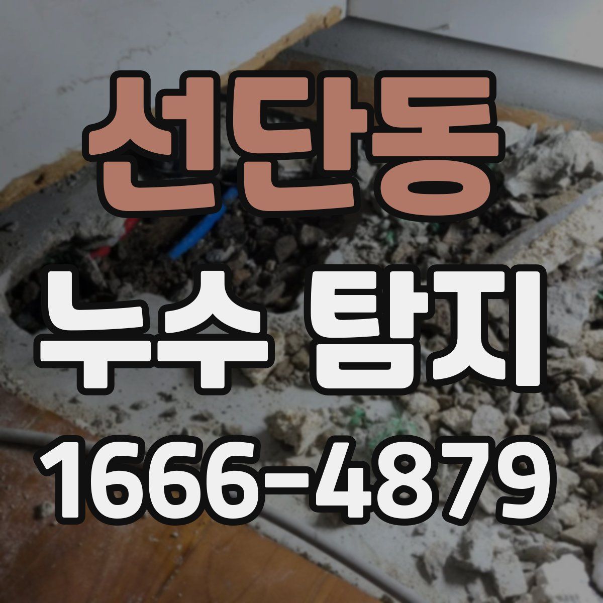 선단동 누수 탐지