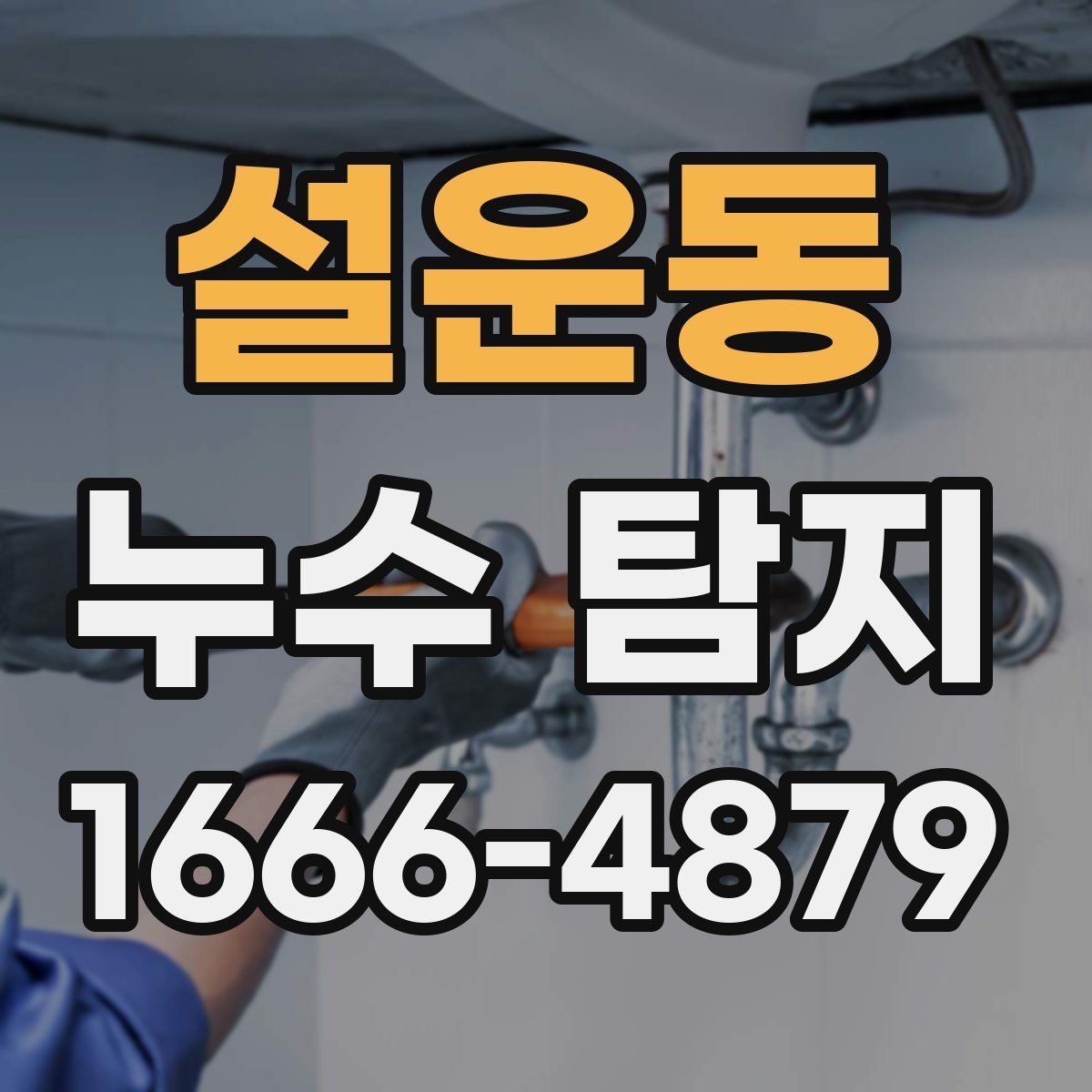 설운동 누수 탐지