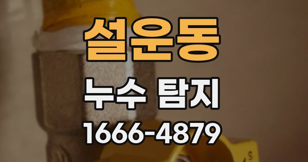 설운동 누수 탐지
