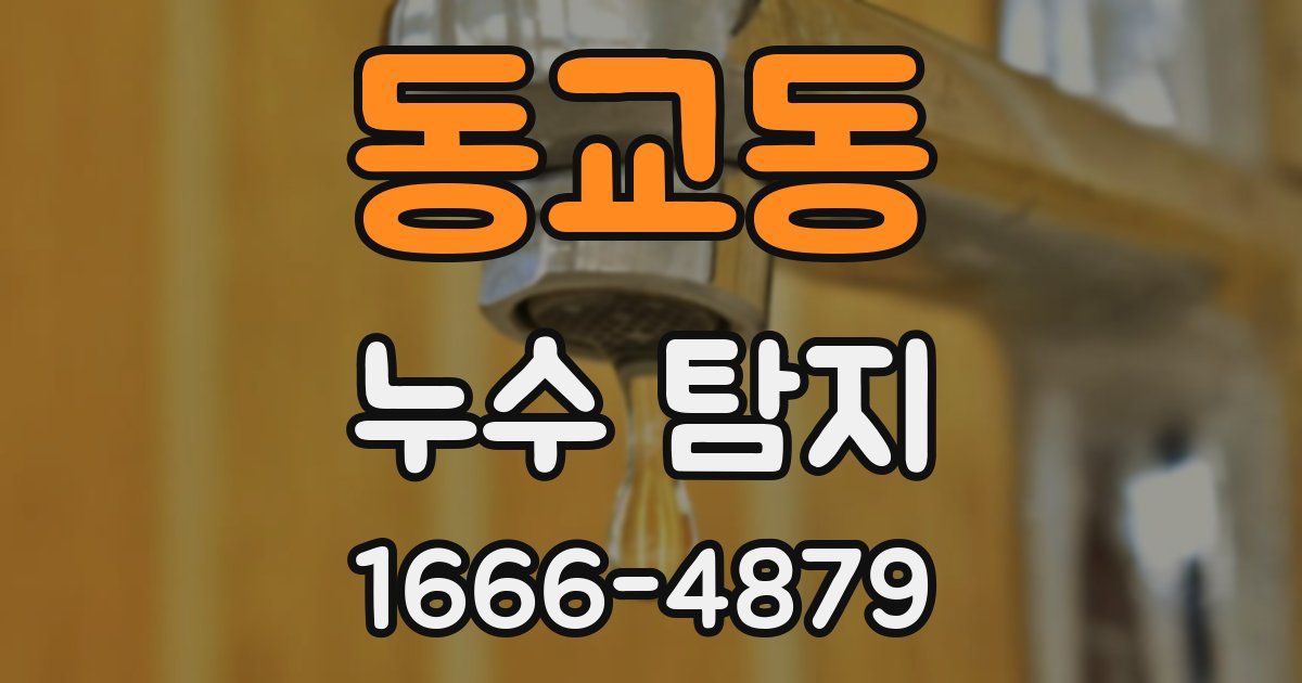 동교동 누수 탐지