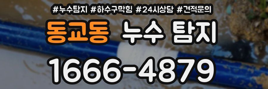 동교동 누수 탐지