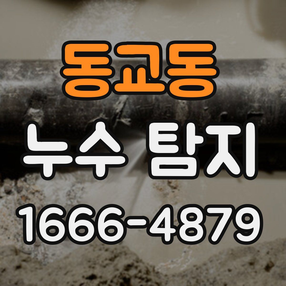 동교동 누수 탐지
