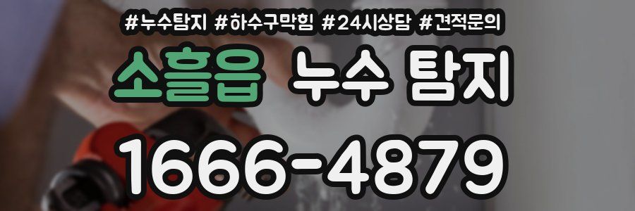 소흘읍 누수 탐지