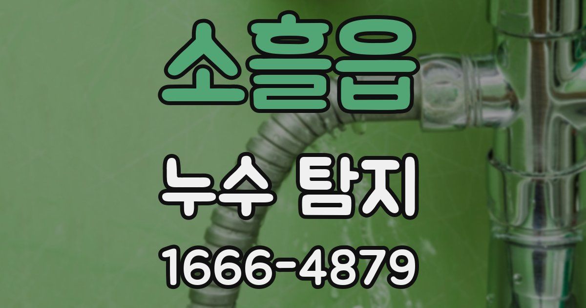 소흘읍 누수 탐지