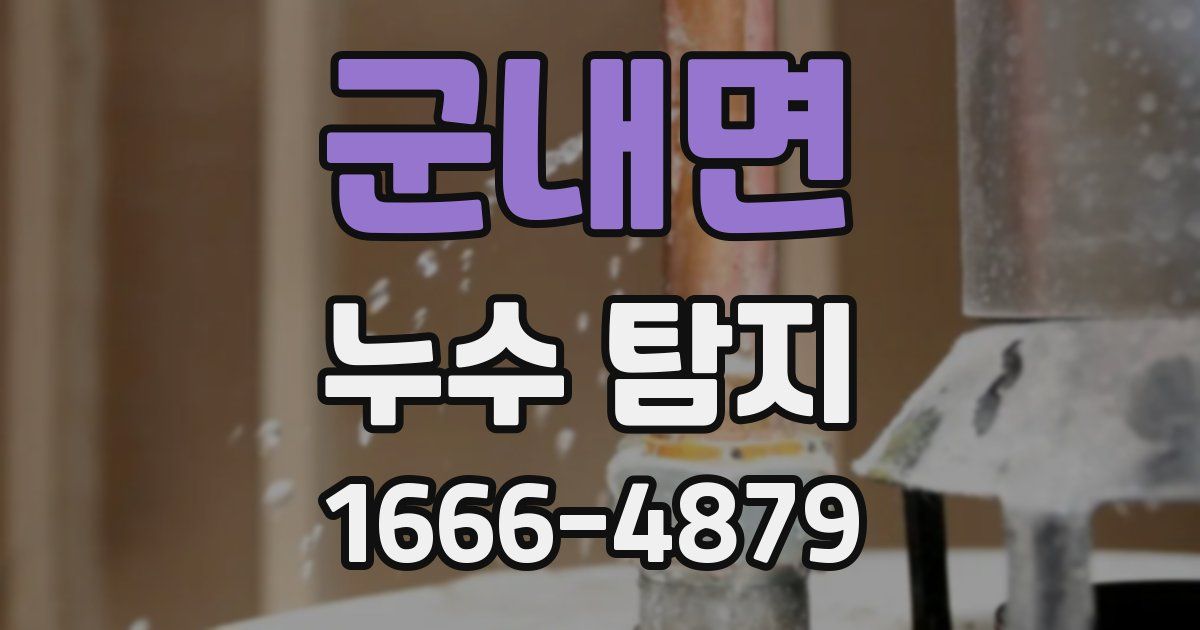 군내면 누수 탐지