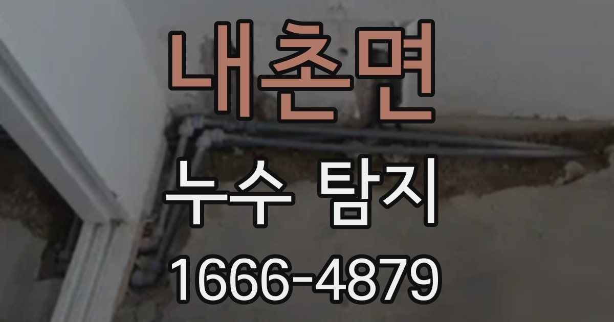내촌면 누수 탐지