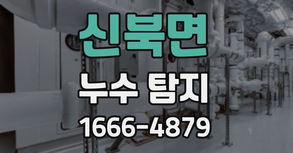 신북면 누수 탐지
