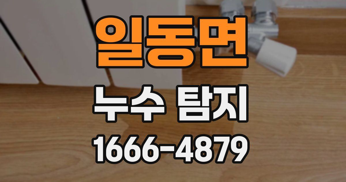 일동면 누수 탐지