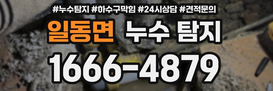 일동면 누수 탐지