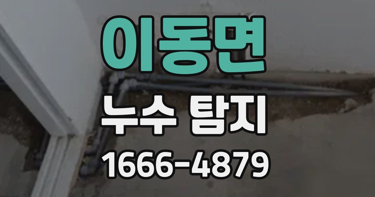 이동면 누수 탐지