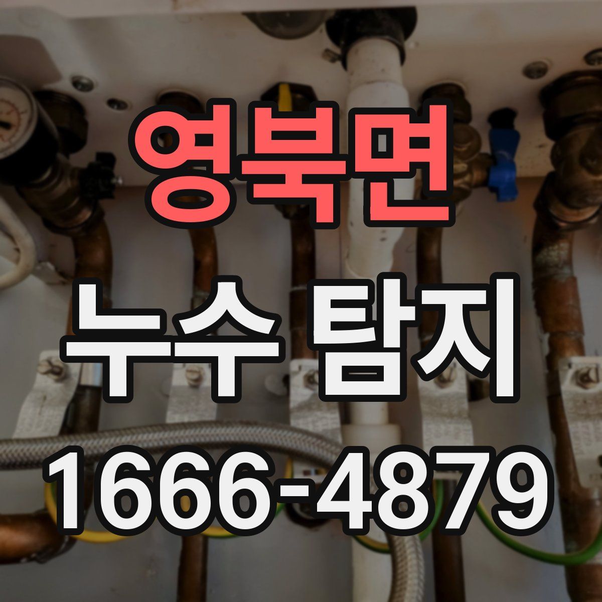 영북면 누수 탐지