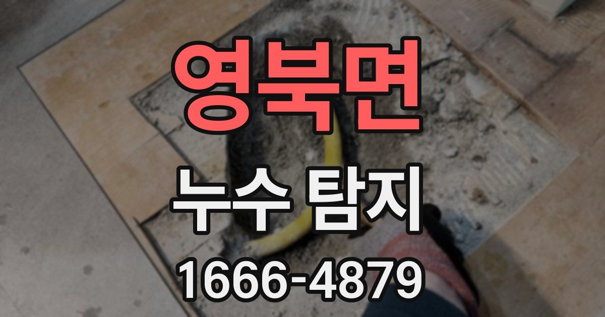 영북면 누수 탐지