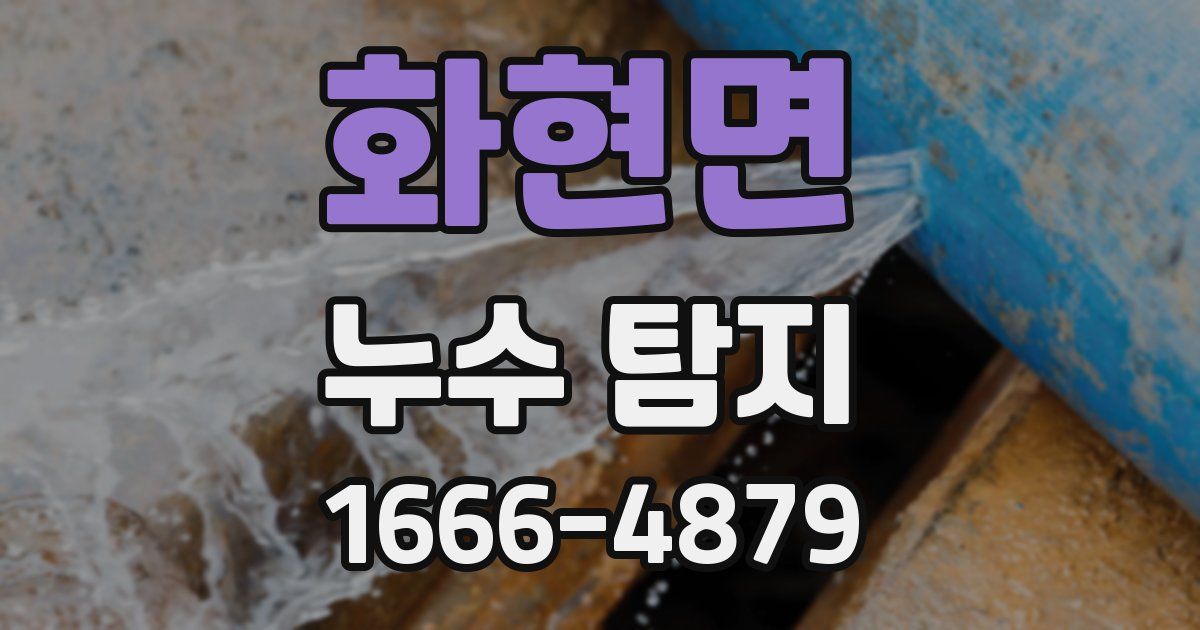 화현면 누수 탐지