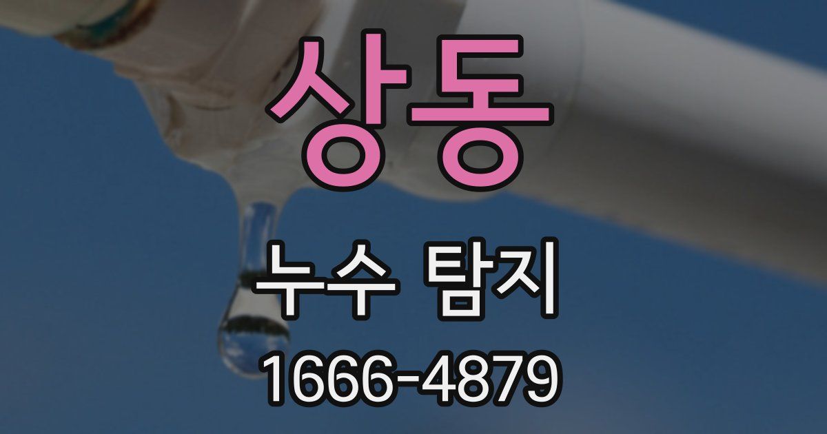상동 누수 탐지