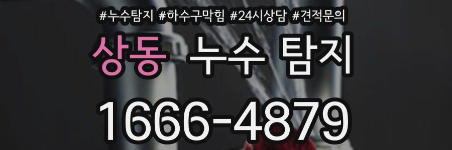상동 누수 탐지