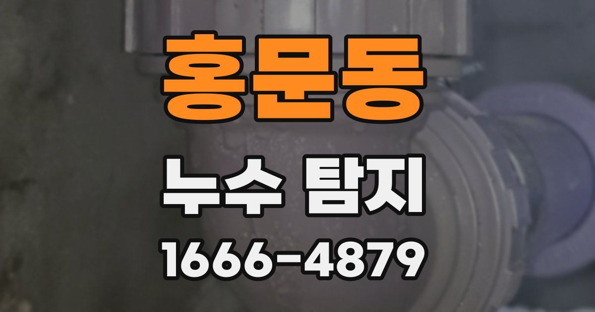 홍문동 누수 탐지