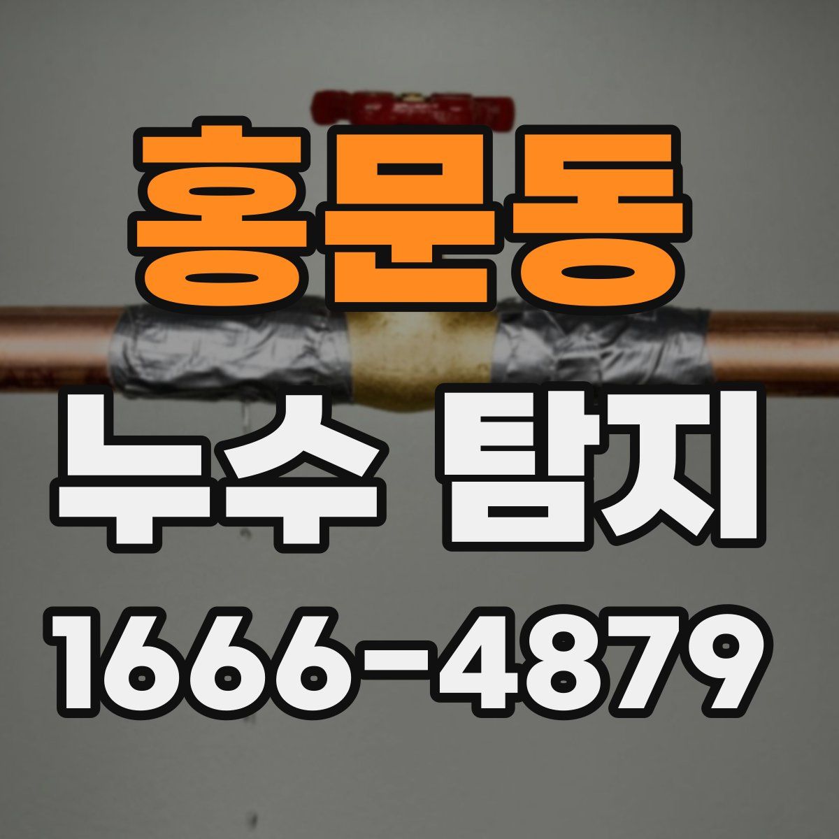 홍문동 누수 탐지