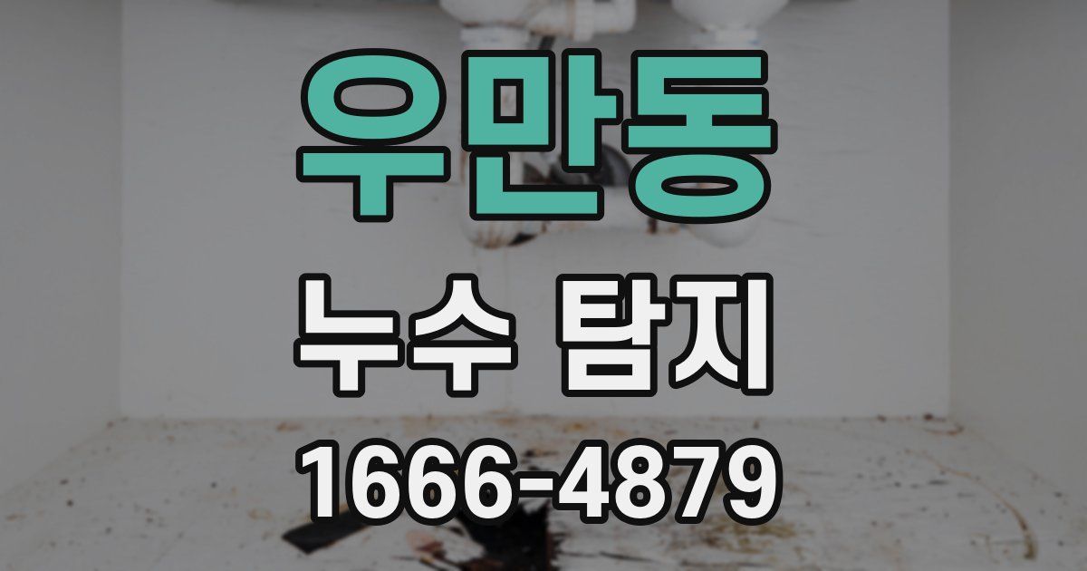 우만동 누수 탐지