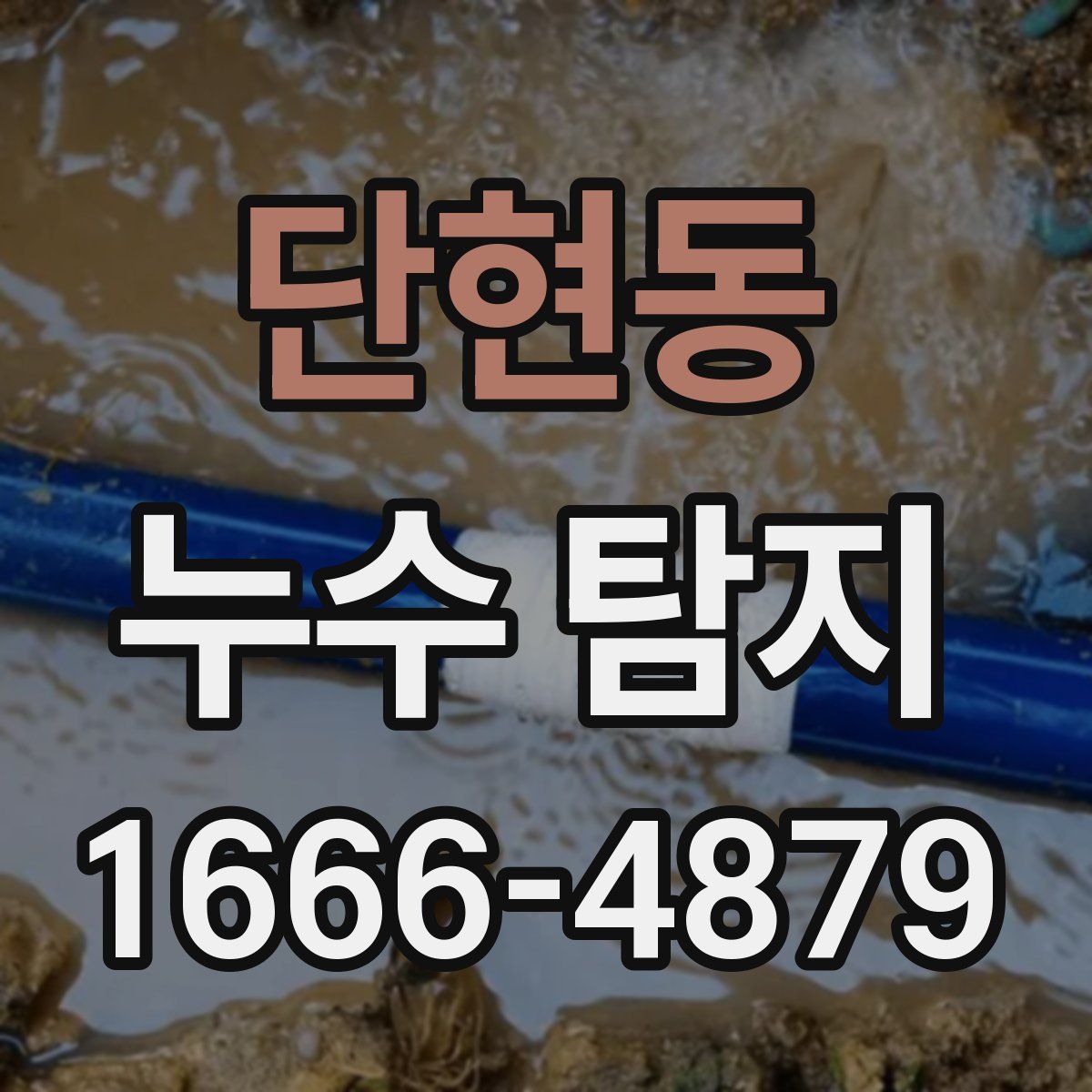 단현동 누수 탐지