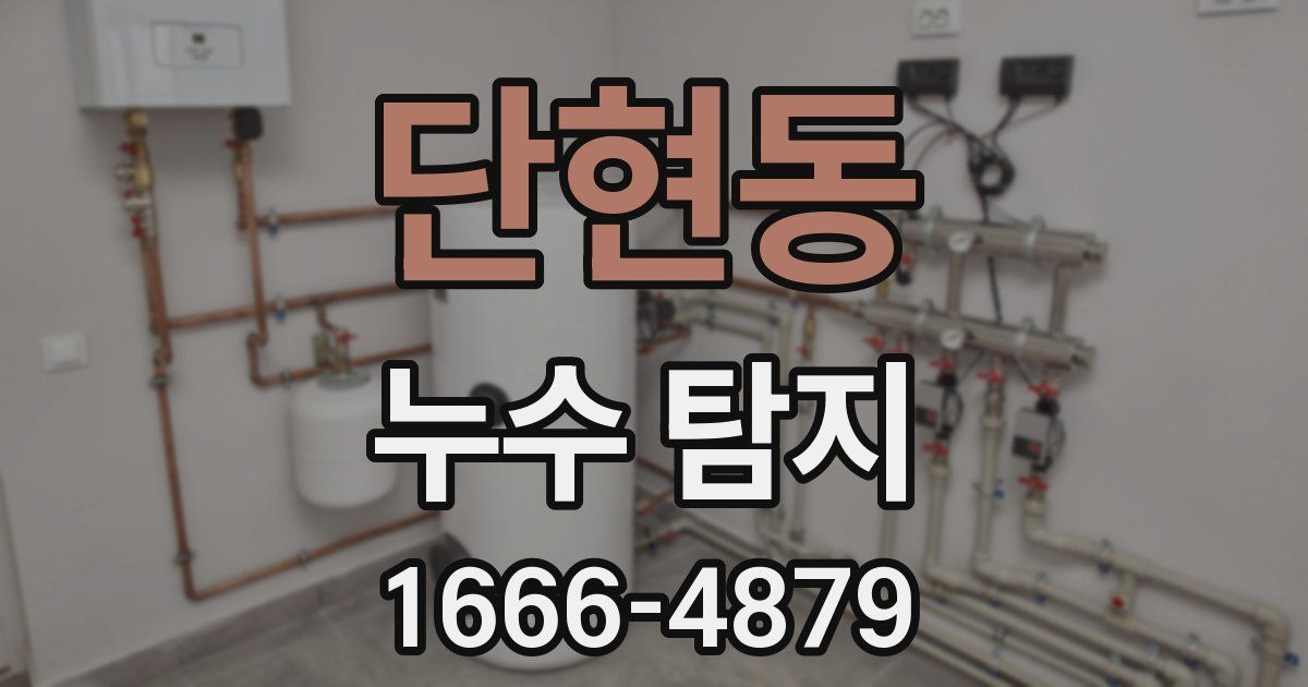 단현동 누수 탐지