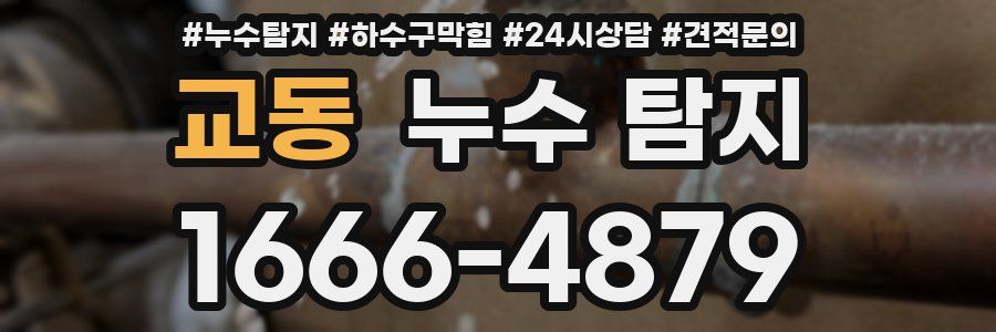교동 누수 탐지
