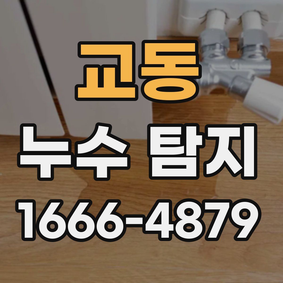 교동 누수 탐지