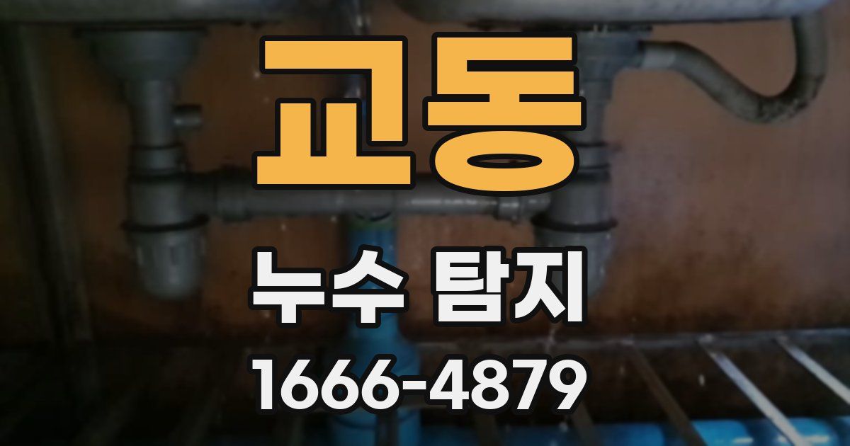 교동 누수 탐지