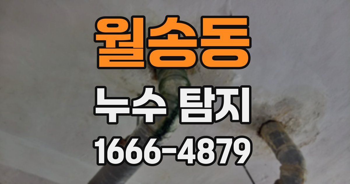월송동 누수 탐지