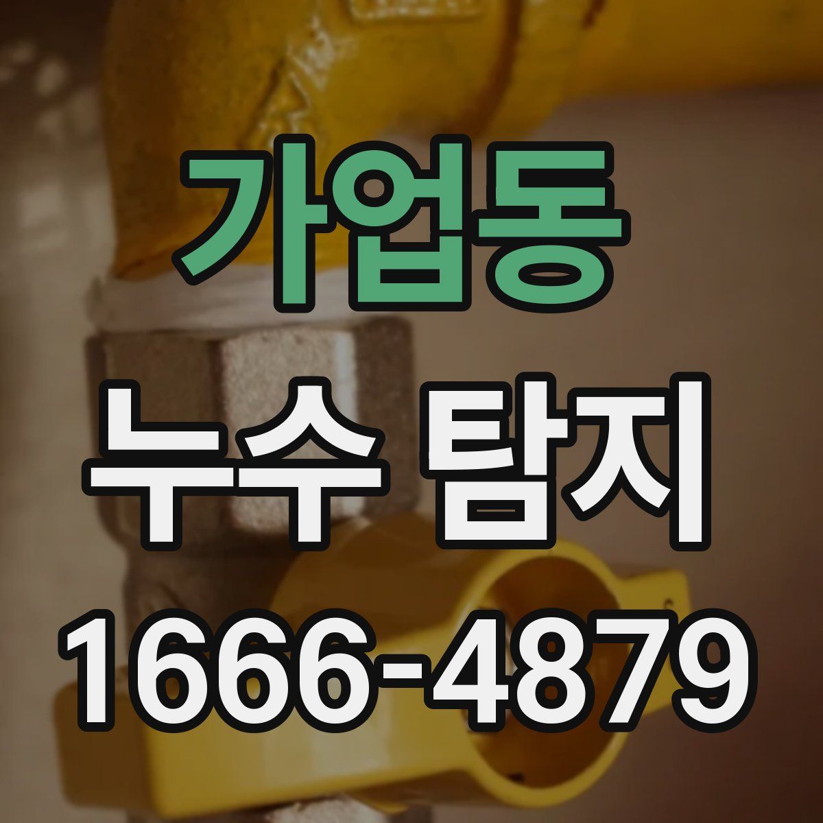 가업동 누수 탐지