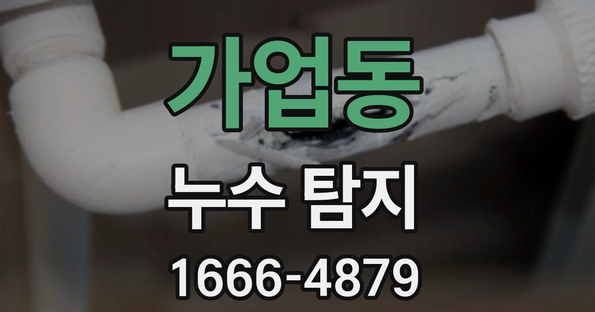 가업동 누수 탐지