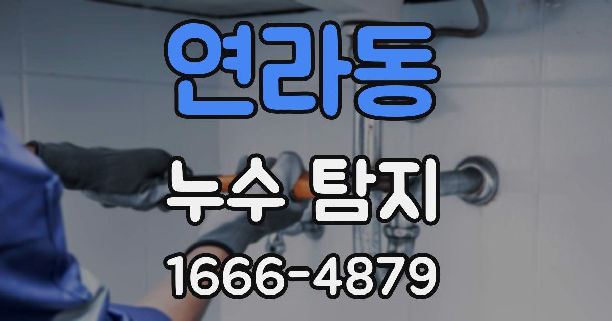 연라동 누수 탐지