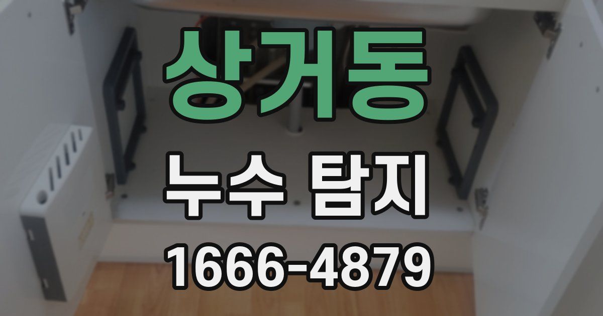 상거동 누수 탐지