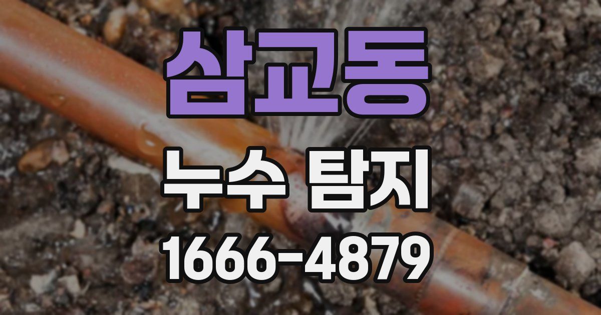 삼교동 누수 탐지