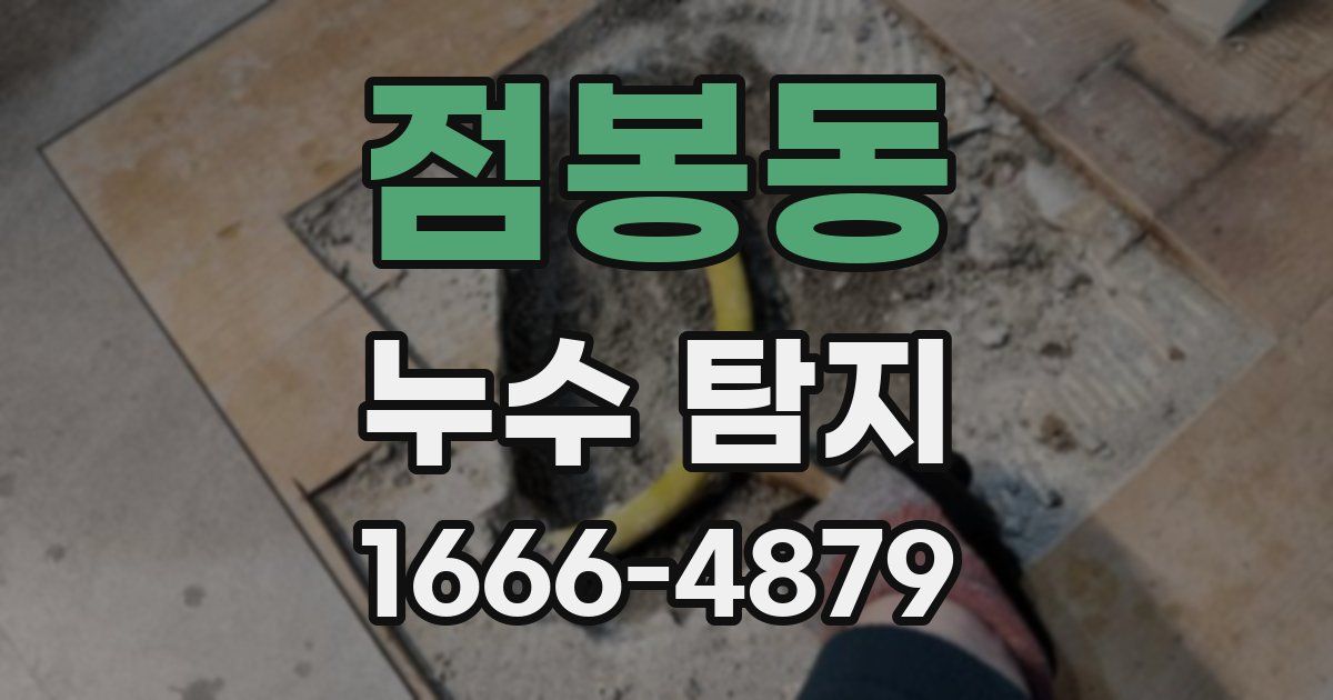 점봉동 누수 탐지