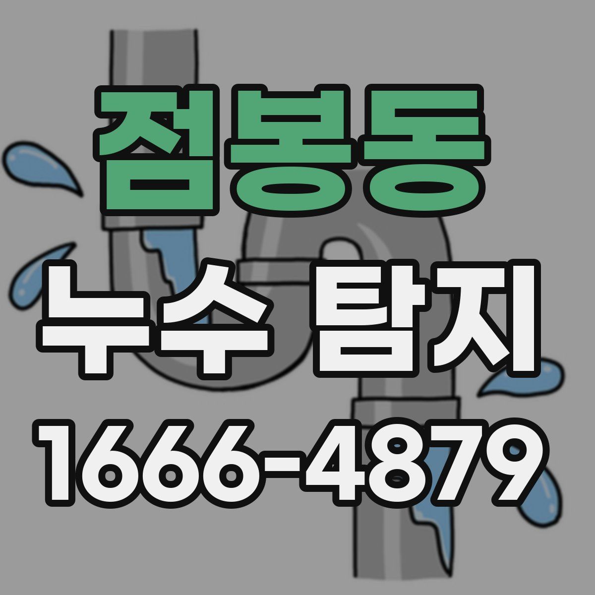 점봉동 누수 탐지