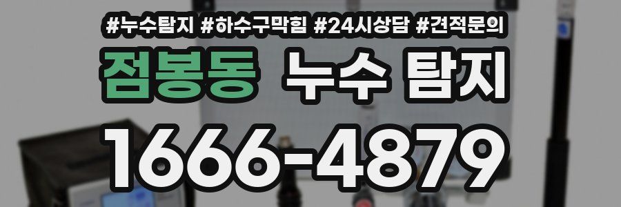 점봉동 누수 탐지