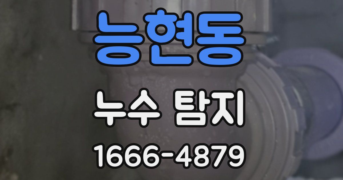 능현동 누수 탐지