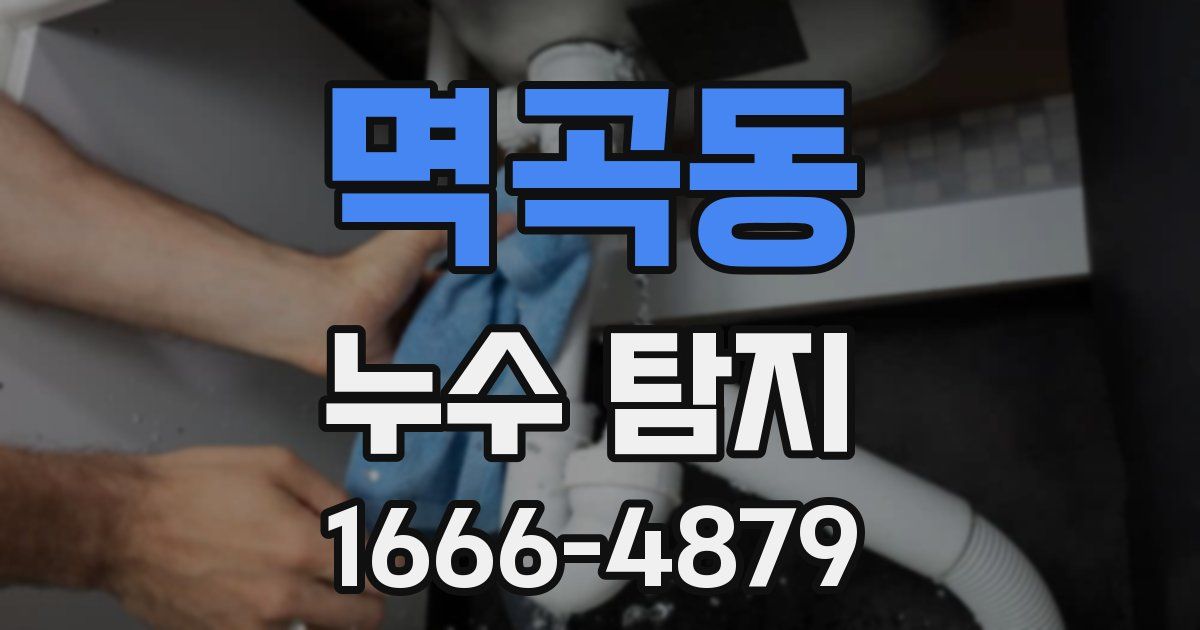 멱곡동 누수 탐지
