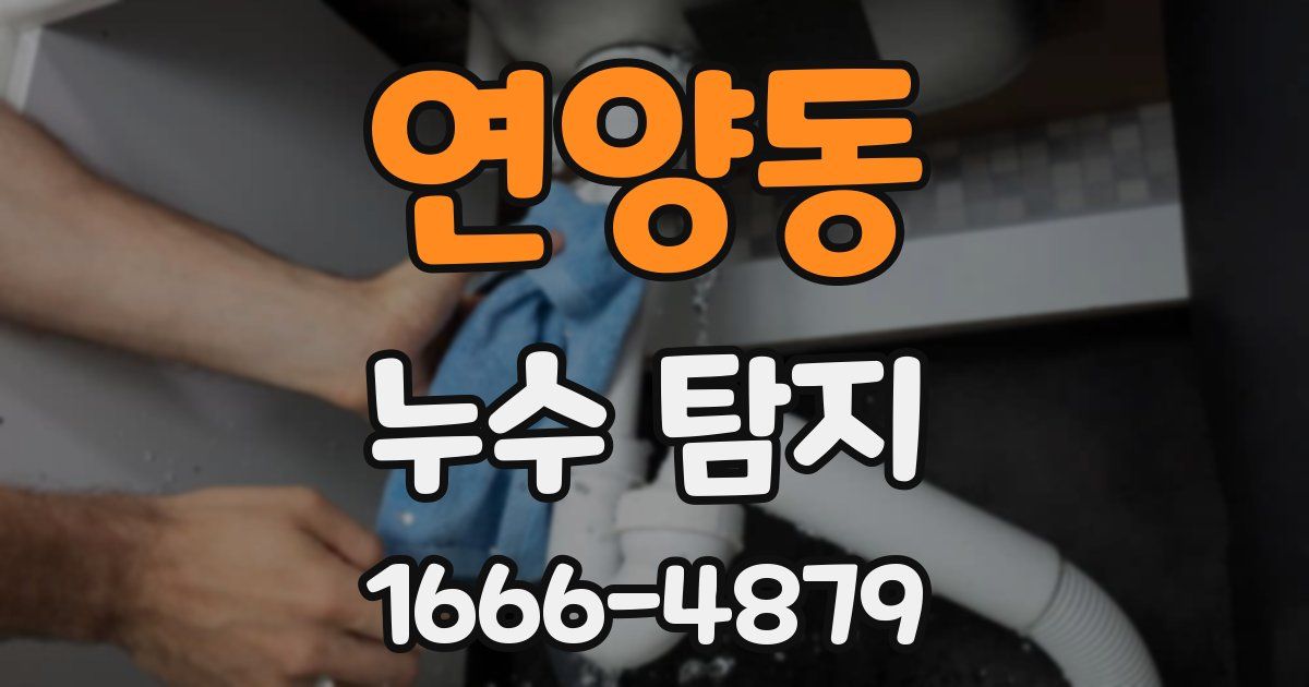 연양동 누수 탐지