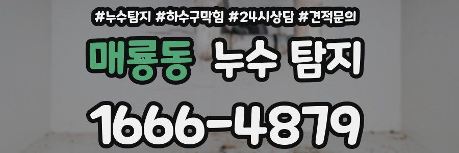 매룡동 누수 탐지