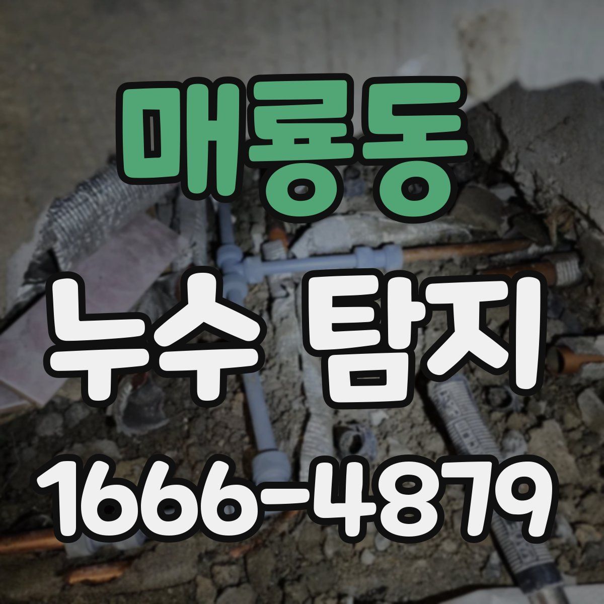 매룡동 누수 탐지