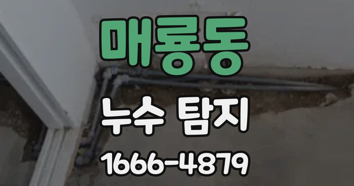 매룡동 누수 탐지