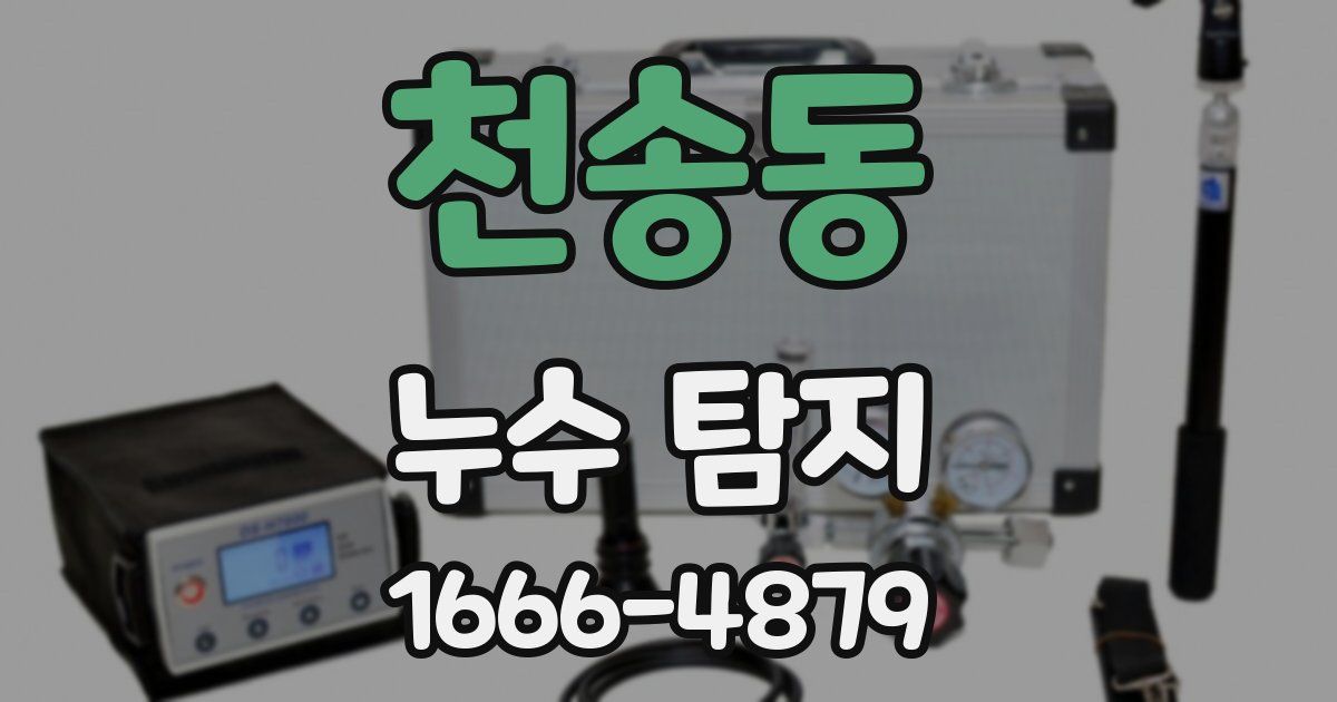 천송동 누수 탐지