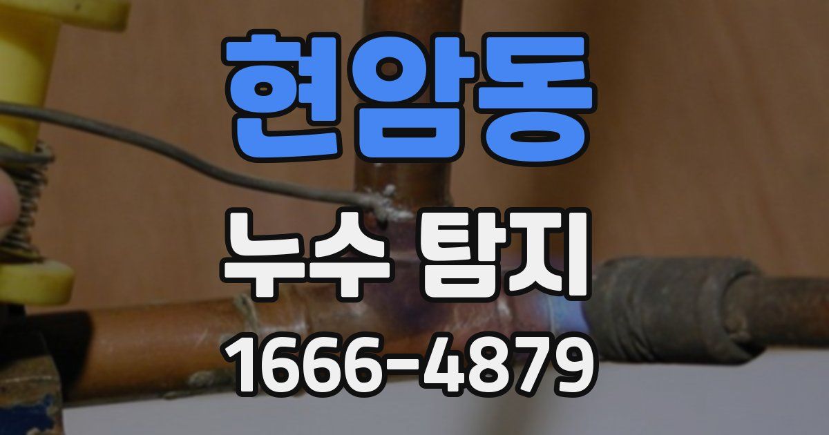 현암동 누수 탐지