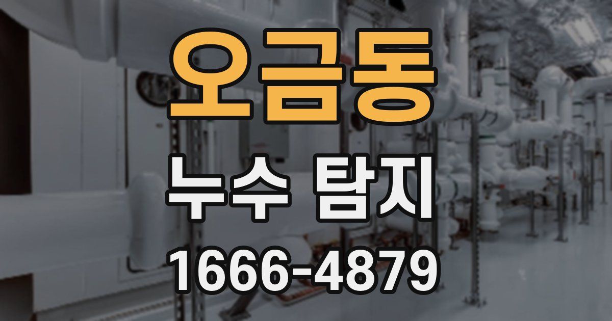 오금동 누수 탐지