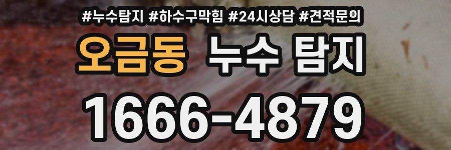 오금동 누수 탐지