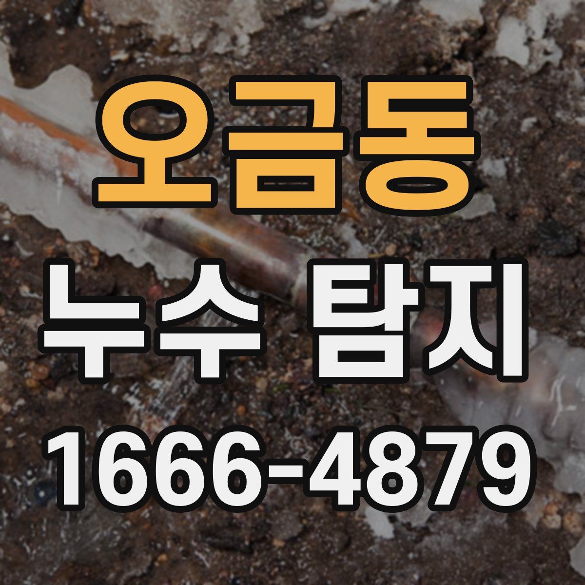 오금동 누수 탐지
