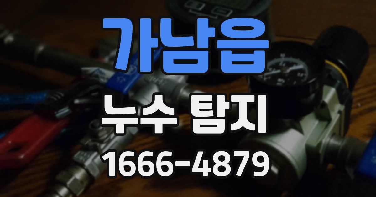 가남읍 누수 탐지