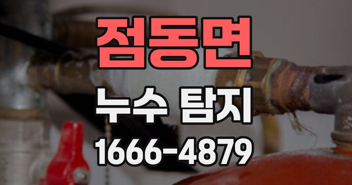 점동면 누수 탐지